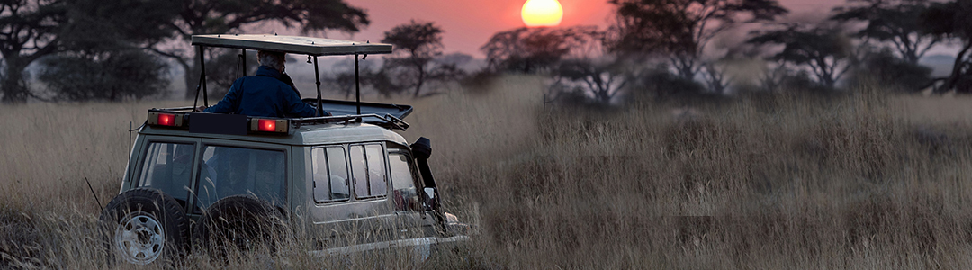 Tanzania safari experience